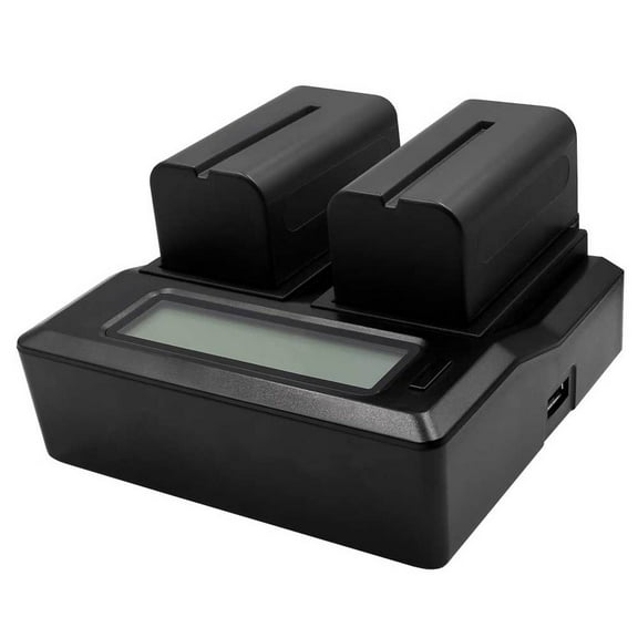 Promaster 9498 Sony Dual Battery / Charger Kit NP-F770