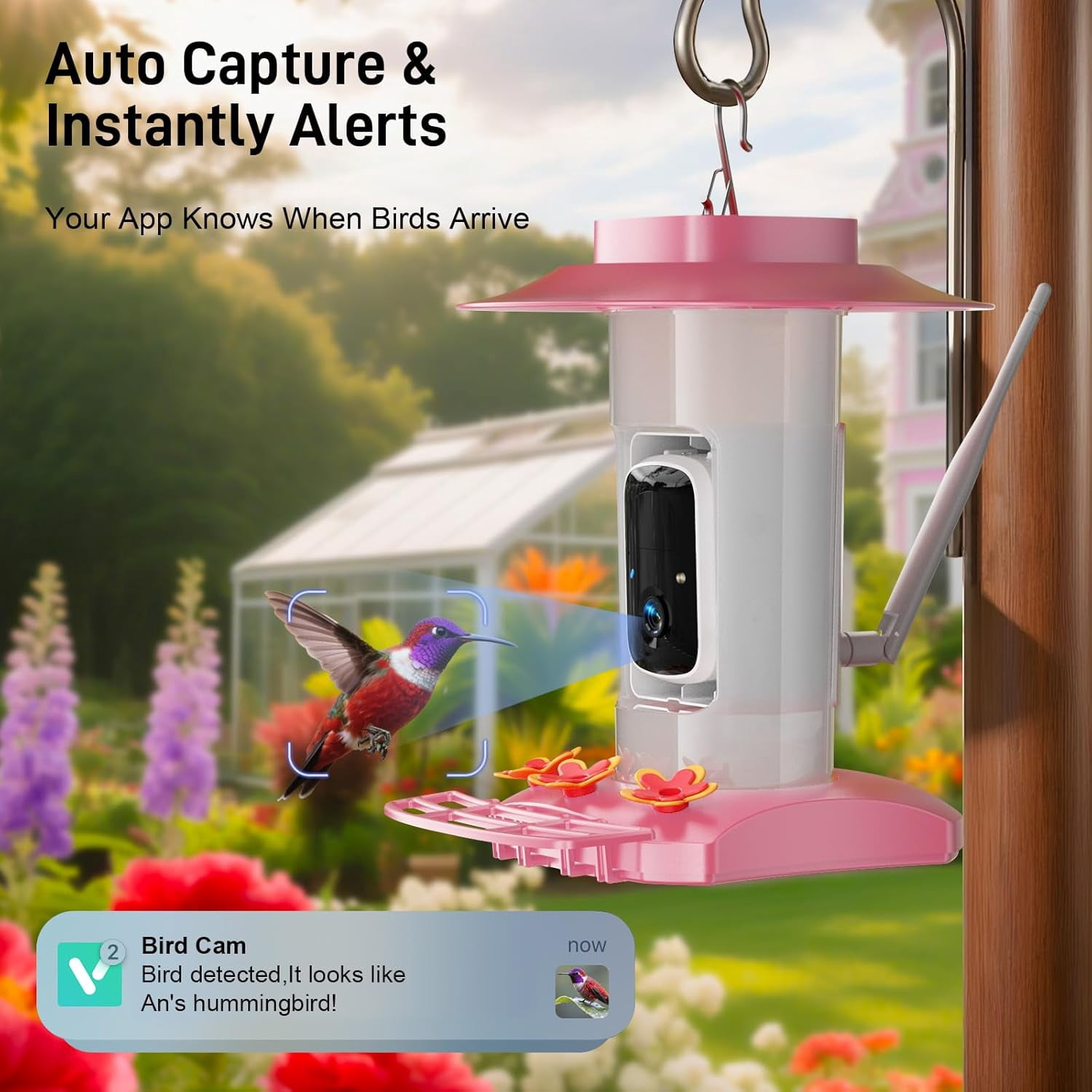 Hummingbird Feeder with Camera Outdoor, SV3C Hanging Bird Feeder with Ant Moat & Bee-Proof, HD 2K Solar Powered, AI Bird Identify, Instant App Alerts, Auto Capture, Hummingbird Lover Gifts, 21oz