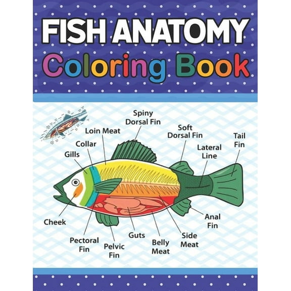 Fish Anatomy Coloring Book : Fish Anatomy Coloring Book for Kids & Adults. The New Surprising Magnificent Learning Structure For Veterinary Anatomy Students. Veterinary Anatomy & Physiology Coloring book. Fish Anatomy Coloring Book for Fish Lovers. (Paperback)