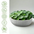 thumbnail image 2 of Indoor Concrete Pots Set 3PCS Outdoor Indoor Modern Planter,17" + 14.4"+11.4" Dia Round Flower Pots for Patio, Garden, Home and Office, 2 of 7