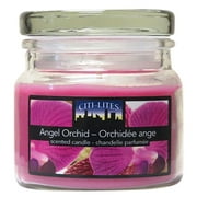 Citi-Lites 2.5 Ounce Apothecary Jar-Angel Orchid (Pack of 3)