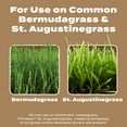 thumbnail image 4 of Scotts Turf Builder Weed & Feed for Texas Lawns, Weed Killer Plus Lawn Fertilizer, 22.40 lbs., 4 of 14