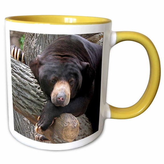 3drose, Oh Man, What a Day, Black Bear, 11oz Two-tone Yellow Mug