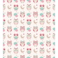 thumbnail image 3 of Ambesonne Owls Duvet Cover Set, Birds Stars Moon Pastel, Queen, Almond Green Pink Tan, 3 of 3