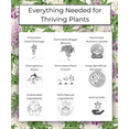 thumbnail image 3 of Happy Bunny Farms Indoor Organic Potting Soil, 4 QT, with Compost, Biochar, Mycorrhizae, 3 of 5