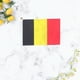 thumbnail image 2 of EeaseMX 50 banderas pequeñas de Bélgica para sujetar con palo, banderas internacionales de países del mundo, decoración para fiestas., 2 of 7