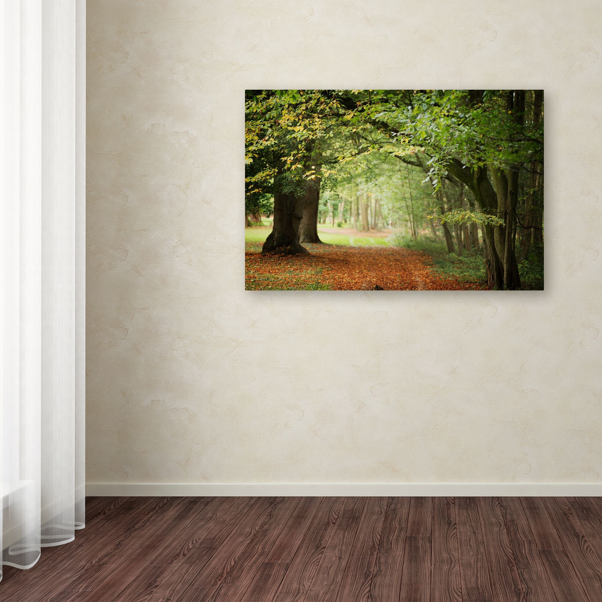 Trademark Fine Art "Through the Woods" Canvas Art by Philippe Sainte-Laudy