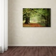 thumbnail image 3 of Trademark Fine Art "Through the Woods" Canvas Art by Philippe Sainte-Laudy, 3 of 3