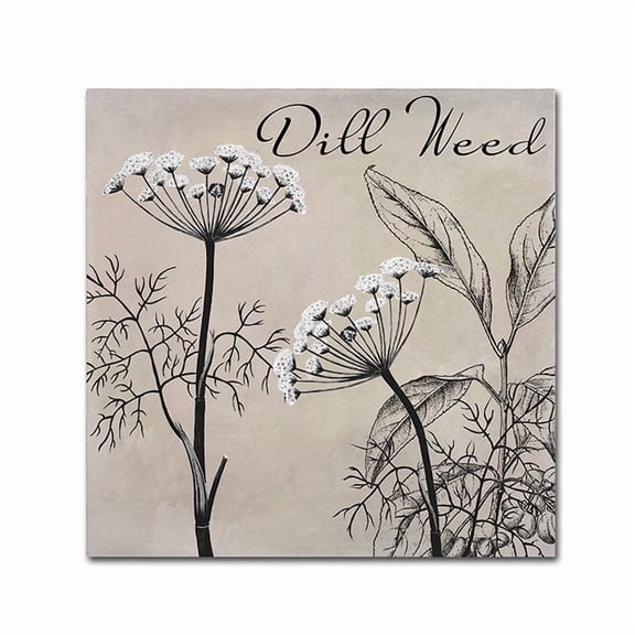 Trademark Fine Art "Flowering Herbs III" Canvas Art by Color Bakery