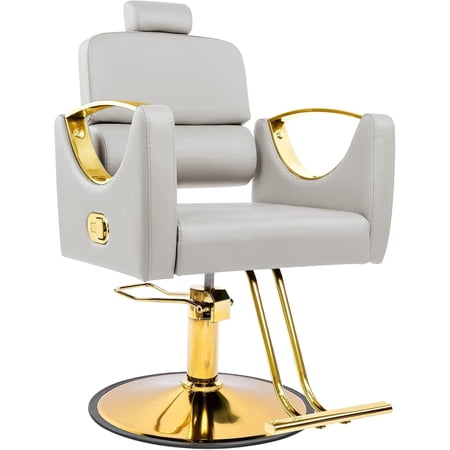 Professional Salon Styling Chair – Reclining Barber Chair with 360° Swivel & Heavy-Duty Hydraulic Pump Gray ?