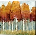 thumbnail image 1 of Birch I by Edward Selkirk, Canvas Wall Art, 1 of 1