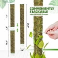 thumbnail image 3 of DUSPRO D-Shaped Plastic Moss Poles for Climbing Plants Monstera Stackable Moss Pole for Plants Moss Plant Pole Handmade Moss Stick for Indoor Plants Grow Upward 2 Pack 16.5 inches, 3 of 5