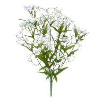 Gypsyphilia Bush White