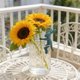 thumbnail image 1 of CaiYueKe Plant Support Stakes for Potted Flowers Garden Stakes Plant Stakes for Climbing Plants Plant Support Sticks Plant Support Cage Gardening Stakes Plant Support Frame Plant Stake Supports, 1 of 7