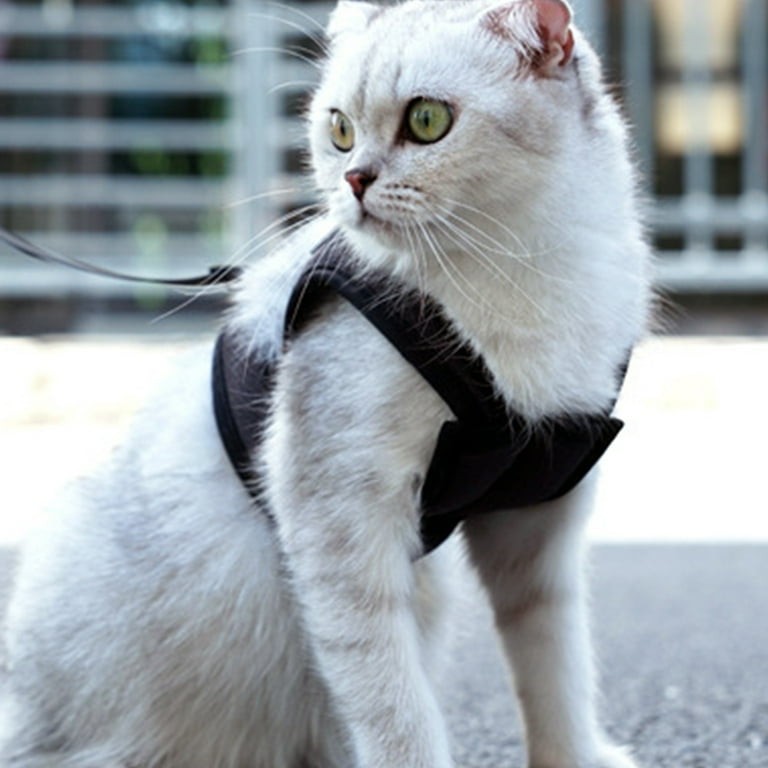 CATさま専用Phone Strap by Aurélie Mathigot CATさま専用Phone Strap by Aurélie Mathigot CATさま専用Phone Strap