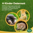 thumbnail image 4 of Baar USDA Certified MolEvict Lawn Mole And Vole Organic Castor Oil, 32 oz, 4 of 9