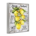 thumbnail image 3 of Stupell Industries French Country Lemon Orchard Market Gray Framed Giclee Art, 11 x 14, by Creatif Belle, 3 of 8