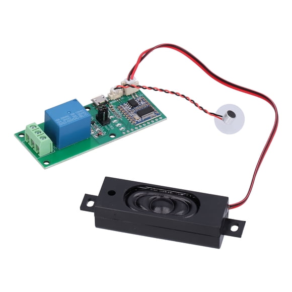 Voice Recorder, 32bit RISC Core 240M Operating Frequency Support Calculation Recordable Sound Module for Gifts for Cards for Handicrafts