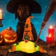 thumbnail image 4 of Muñeco de gnomo de Halloween, muñeco sin rostro para decoración del hogar, muñeco de elfo enano Rudolph, para adornos domésticos, regalos de decoración de fiesta de Halloween (1 pieza, morado) Sincero Hogar, 4 of 4
