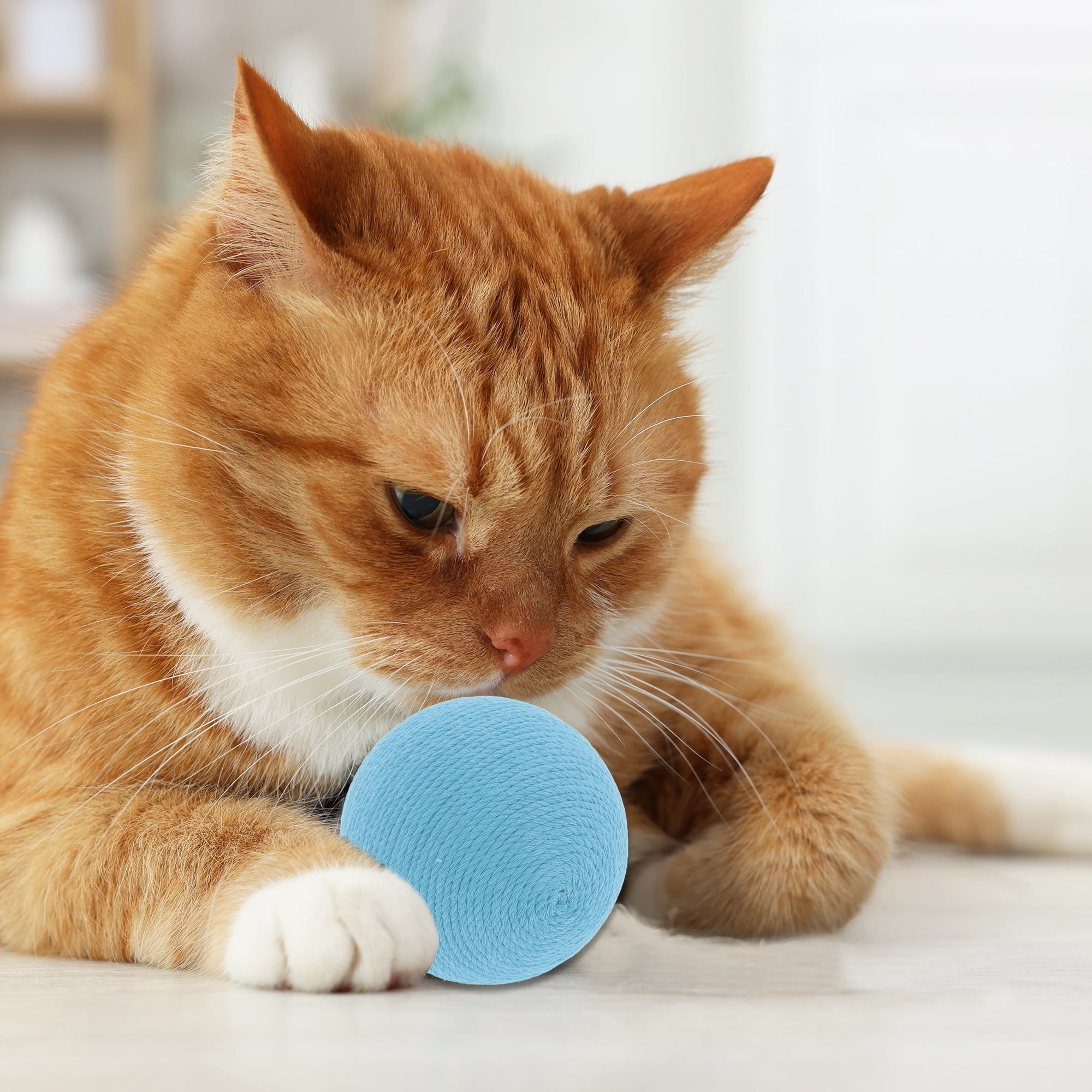 Unique Bargains Playing Ball with Bell for Cat Playtime Blue