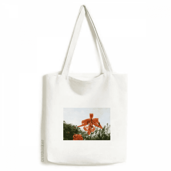 Orange River Lily Art Deco Fashion Tote Canvas Bag Shopping Satchel Casual Handbag