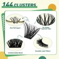 thumbnail image 3 of Kit de extensión de pestañas DIY KEYYOU, 144 piezas, Lash Clusters Y24 KIT, 3 of 8
