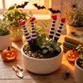 thumbnail image 7 of Wicked Witch Legs Mini Plant Pot Decor – Fun Halloween Planter, Spooky Home Decor, Unique Planter for Indoor & Outdoor Plants, 7 of 7