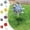 A1773 SSZMDLB under $5, variant on SSZMDLB under $5 Reflective Pinwheels for Garden, Sparkly Windmill with Stake for Yard Decor, Spinning Deterrent for Patio Farm Orchard
