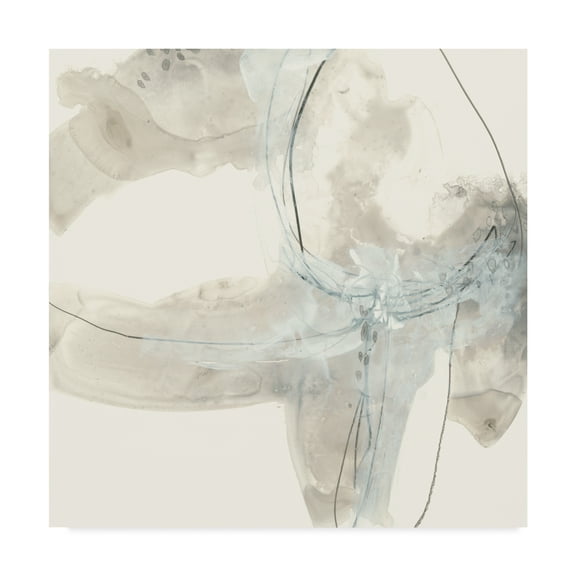 Trademark Fine Art 'Divination IV' Canvas Art by June Erica Vess