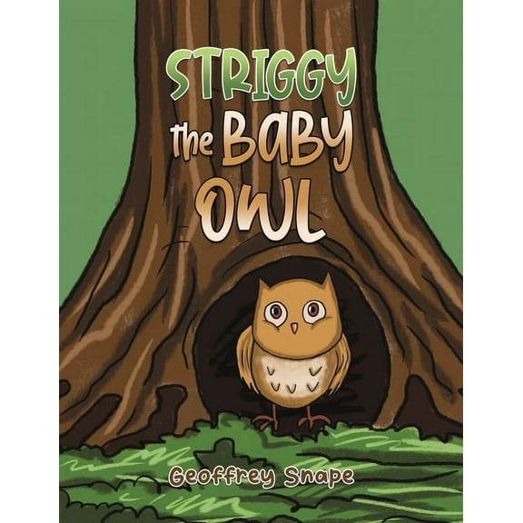 Striggy the Baby Owl, (Paperback)