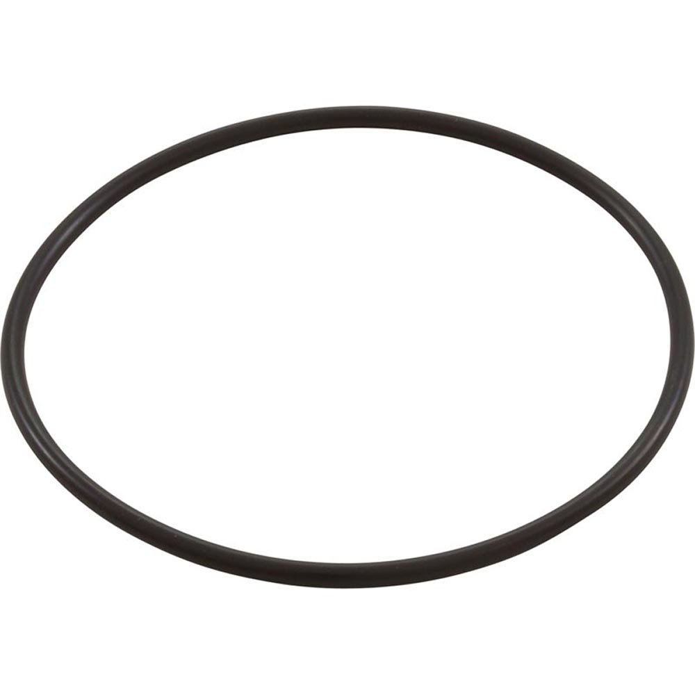 ORing, 238 Pool Pump (Bag)