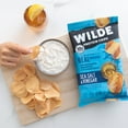 WILDE Protein Chips Sea Salt & Vinegar 4.0oz