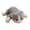 gray, variant on Soft Cuddly Kitten Plush Toy Fluffy Stuffed Cats for Kiddos Birthday Gift Pet Party Favors Easter Stuffers