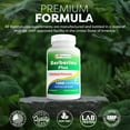 thumbnail image 5 of 3 Pack Best Naturals Berberine Plus 1000mg per Serving, (Non-GMO) 60 Capsules - Contains Berberine HCL 1000mg, Vitamin C 120mg & Zinc Gluconate 30 mg, 5 of 7