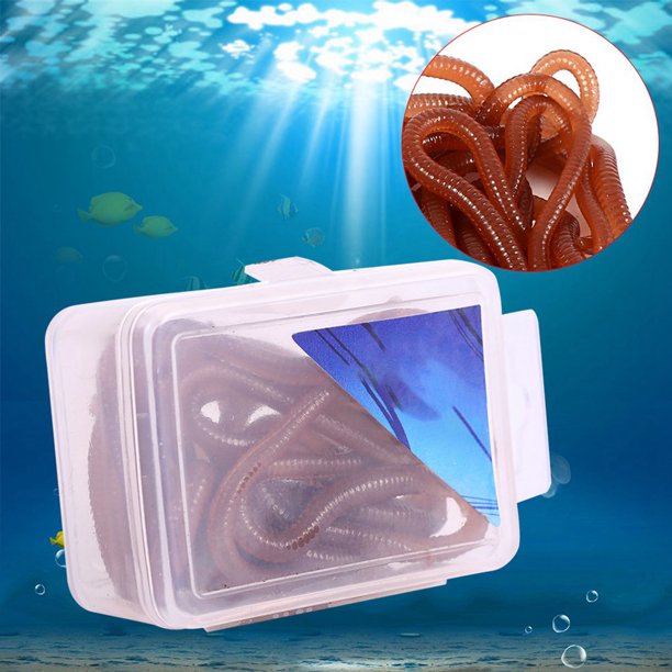 Live Worms, Fishing Lure Baits With Box For Axolotl For Fishermen 10cm  Shaped Fishy Smell Soft - Walmart.ca