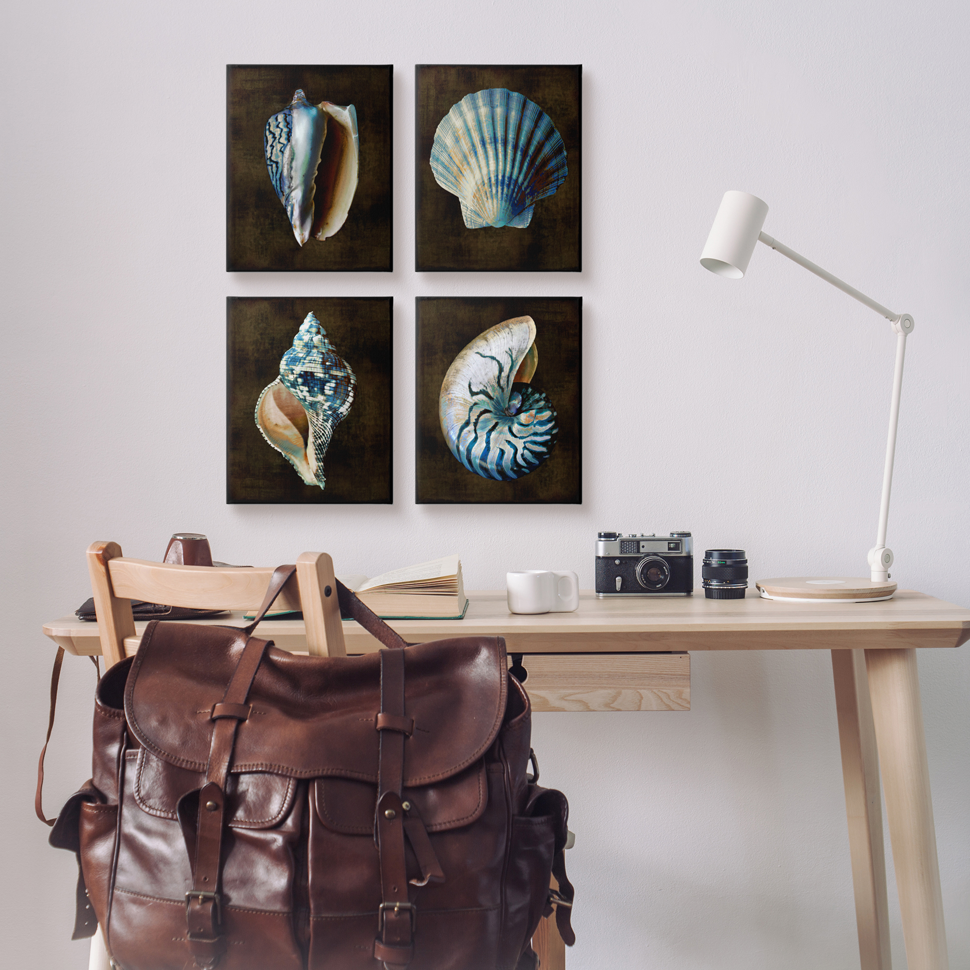 Stupell Industries Dark Maritime Seashells Animals & Insects Painting Gallery Wrapped Canvas Art Print Wall Art, 11 x 14, Set of 4