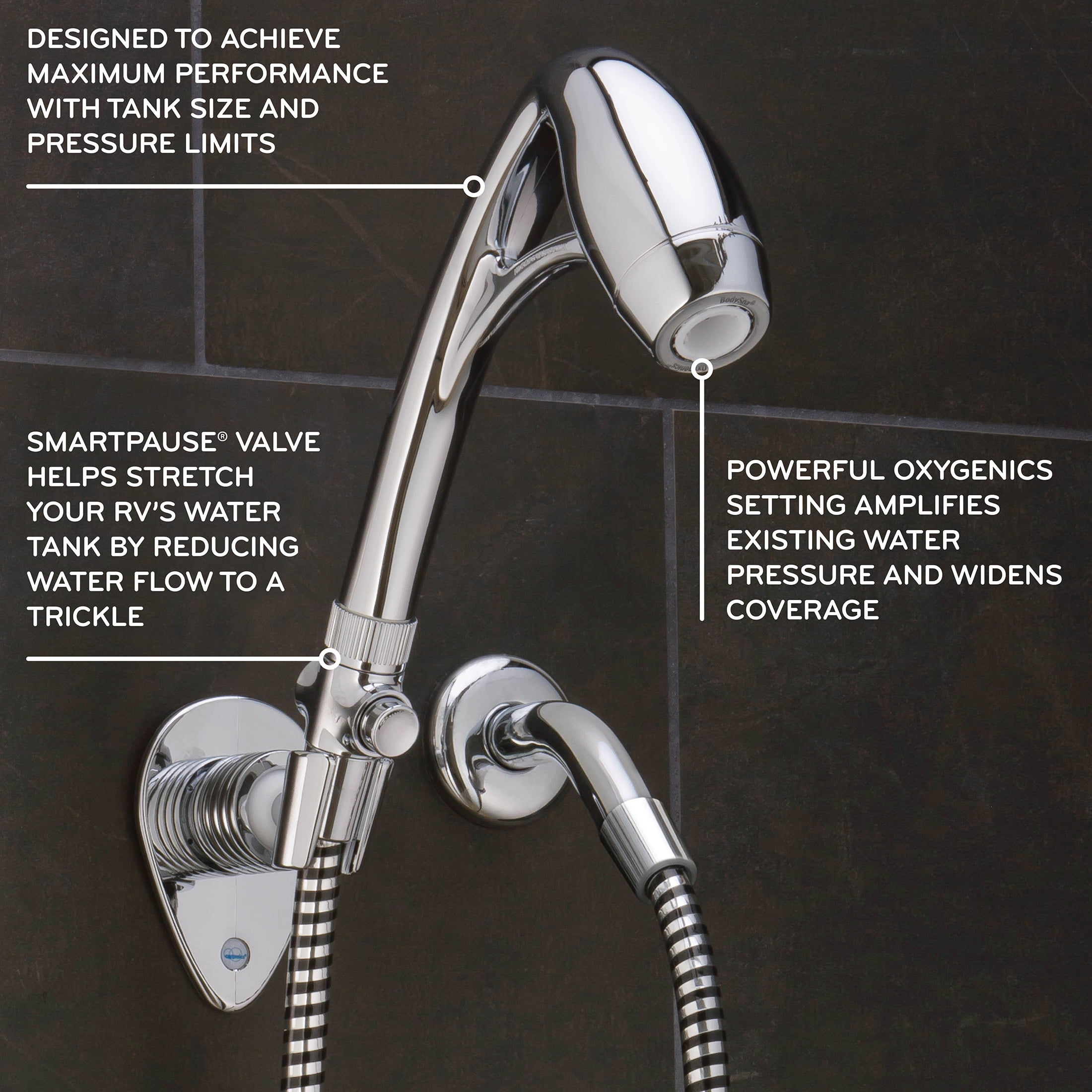 Oxygenics BodySpa RV 2-Setting Chrome Handheld Shower Head