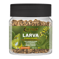 thumbnail image 1 of Snack Larva de Mosca Soldado Reptilia con Gran Contenido de Proteína para Reptiles FL4070, 1 of 3