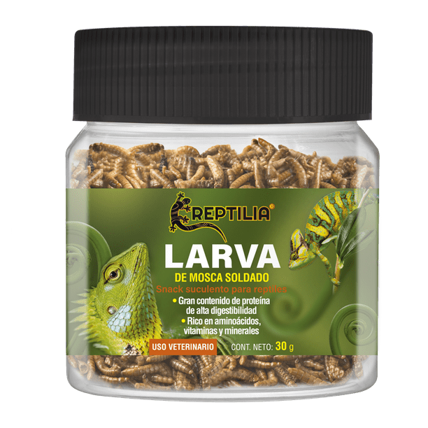Snack Larva de Mosca Soldado Reptilia con Gran Contenido de Proteína para Reptiles FL4070