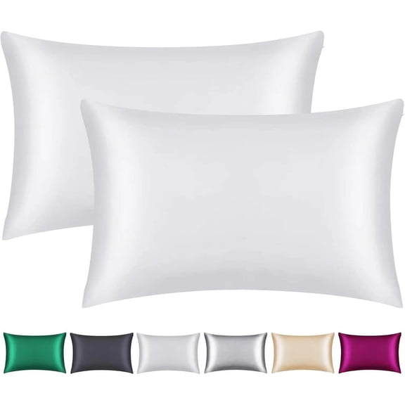 2 Pack Mulberry Silk Pillowcase with Hidden Zipper, Both S, for Hair and Skin, 100%