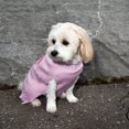 thumbnail image 4 of Vibrant Life Boss Lady Dog & Cat Sweater, Pink, XS, among other Chihuahua, Miniature Poodle, 4 of 11
