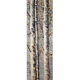 thumbnail image 2 of Atelier B Art Studio 13x32 Black Ornate Wood Framed with Double Matting Museum Art Print Titled - Blossoming Birches, 2 of 4