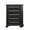 Black, variant on Roundhill Furniture Renova 5-Drawer Chest - Parchment White