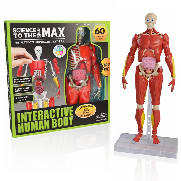 SCIENCE TO THE MAX INTERACTIVE HUMAN BODY 2331
