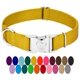 thumbnail image 1 of Country Brook Petz Collar De Perro De Nailon Premium Con Hebilla De Metal Para Razas Pequeñas, Medianas Y Grandes, Selección De Más De 30 Colores Vibrantes (Pequeño 3/4 Pulgadas Dorado), 1 of 1