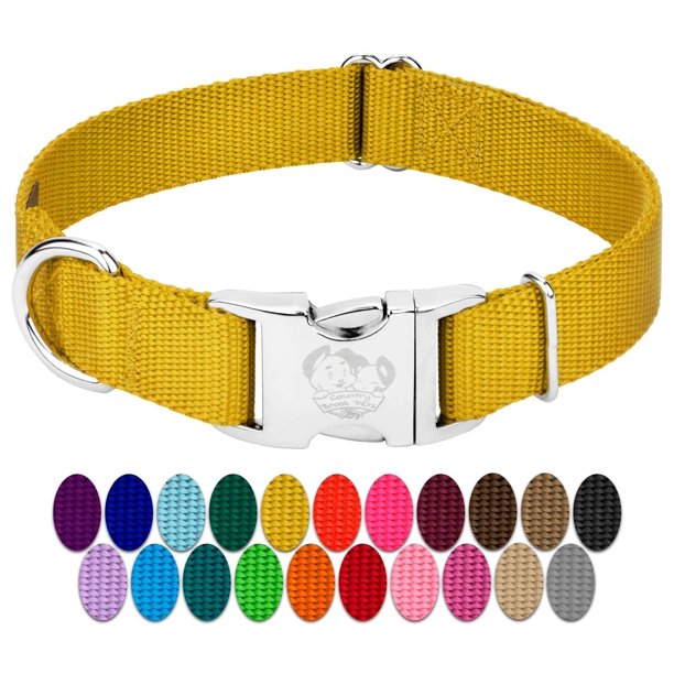Country Brook Petz Collar De Perro De Nailon Premium Con Hebilla De Metal Para Razas Pequeñas, Medianas Y Grandes, Selección De Más De 30 Colores Vibrantes (Pequeño 3/4 Pulgadas Dorado)