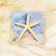 thumbnail image 2 of Paul Brent 15x15 White Modern Wood Framed Wall Art Titled - Starfish, 2 of 5