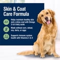 thumbnail image 4 of Blue Buffalo True Solutions Skin & Coat Adult Dry Dog Food, Salmon, Chicken Free, 24lb Bag, 4 of 11