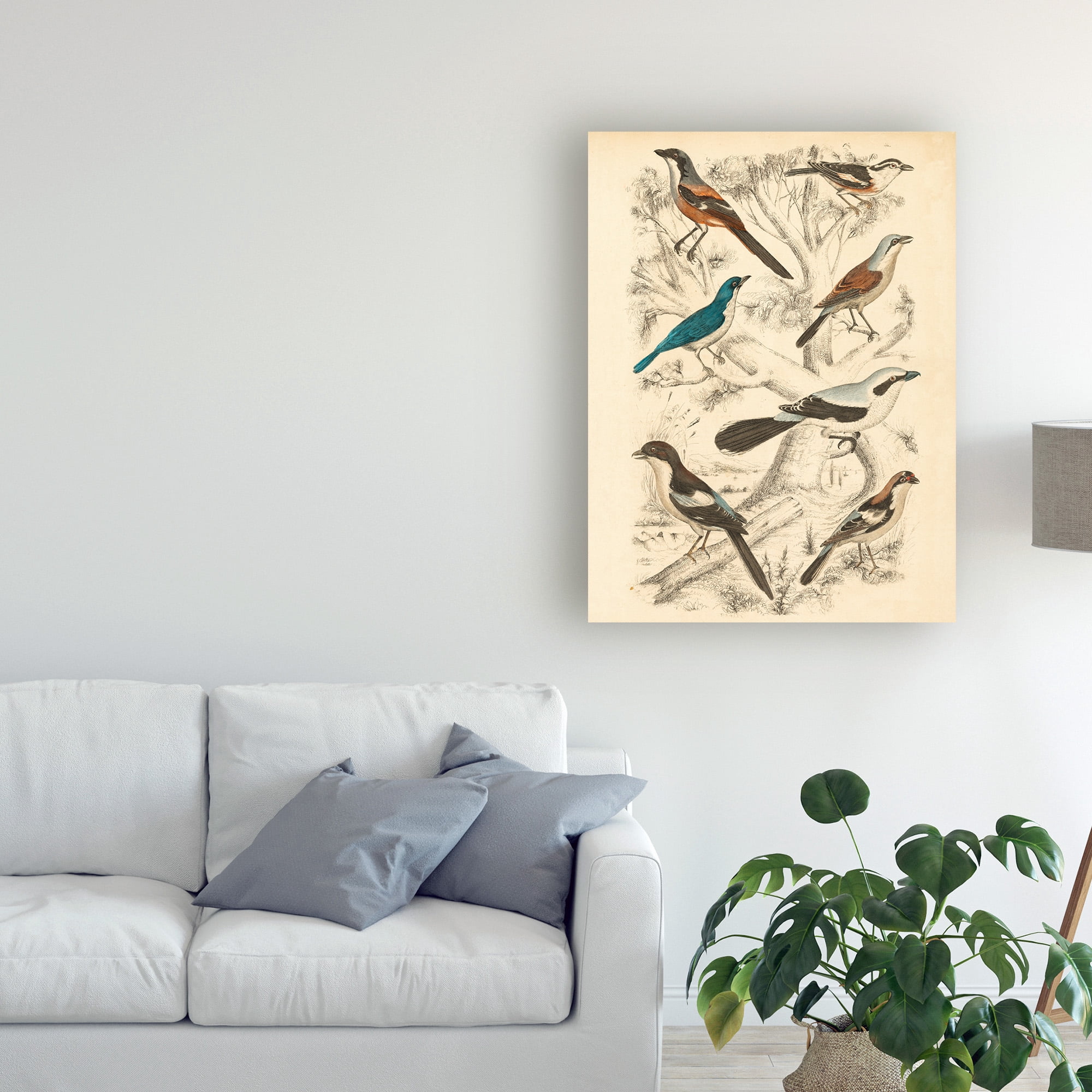 Trademark Fine Art 'Avian Habitat V' Canvas Art by Milne