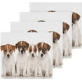 thumbnail image 2 of GZHJMY 12x12Inx2 Sets Reusable Soft Face Towel,Kitchen Hand Towel Bathroom Absorbent Towel,Gym Hotel Spa-Jack Russell Terrier Puppies, 2 of 7
